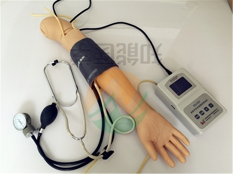 血压手臂模型使用方式