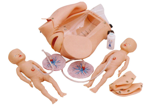 高级分娩机制示教系列模型-产科分娩示教模型-妇科分娩教学模型