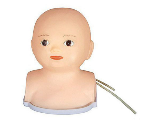 综合婴儿头部静脉穿刺训练模型（双侧）