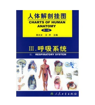 《人体解剖挂图》-呼吸系统