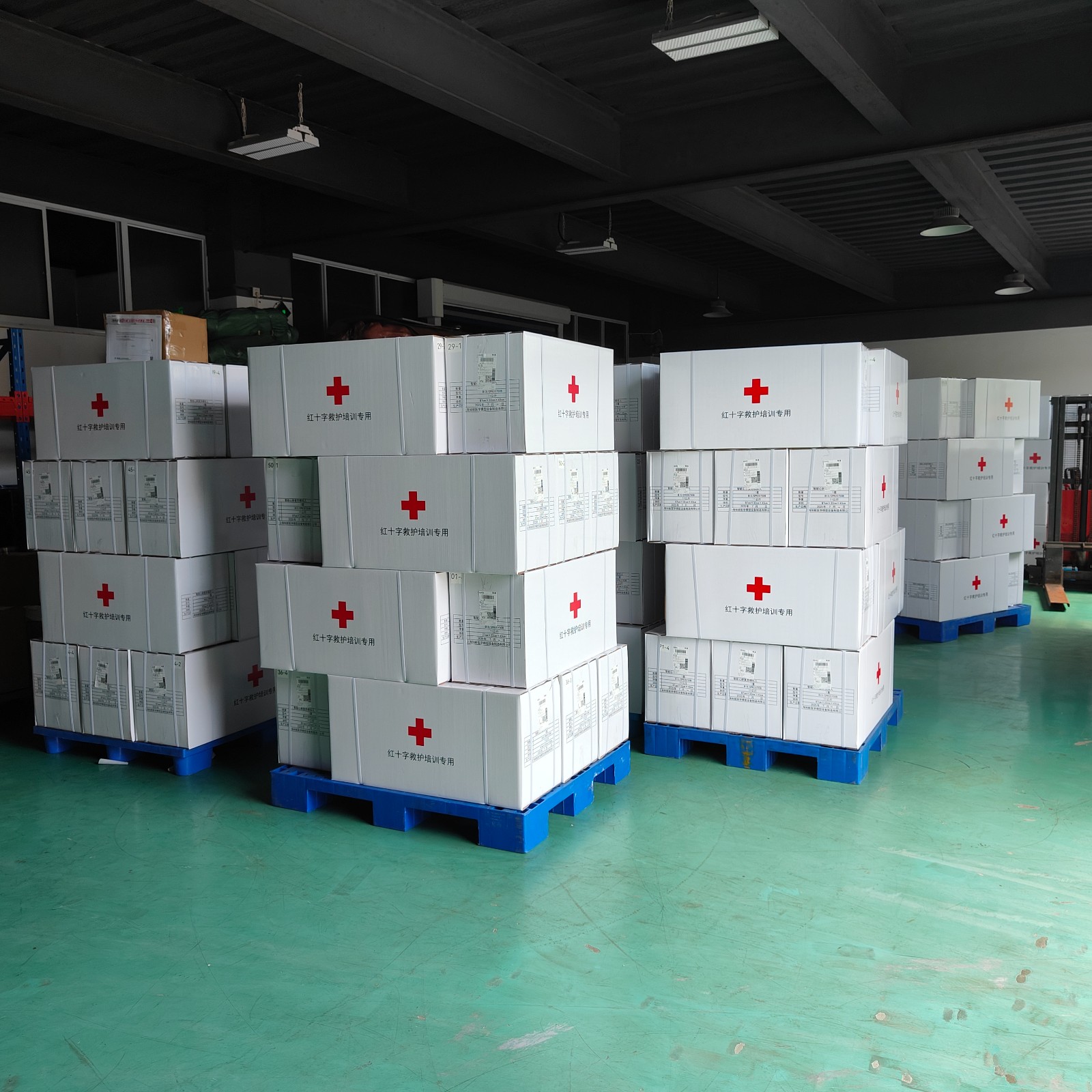 红十字会救护培训模型 红十字会救护培训模型